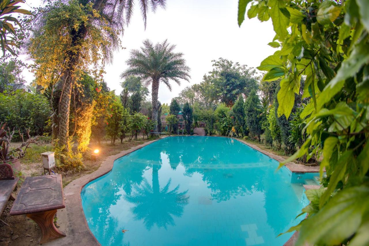 Hostie Chinar Haveli - Heritage Home With Pool, Gurgaon Exterior photo