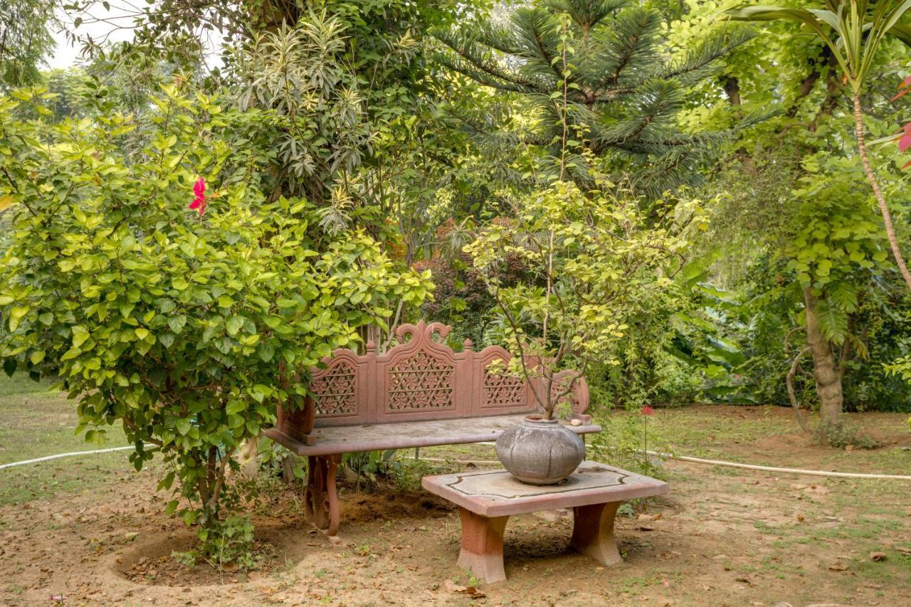 Hostie Chinar Haveli - Heritage Home With Pool, Gurgaon Exterior photo