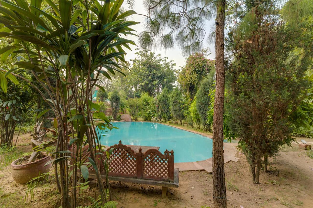 Hostie Chinar Haveli - Heritage Home With Pool, Gurgaon Exterior photo